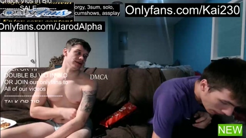 jarodalpha  20-02-2023